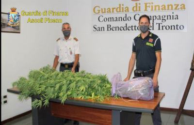 Spinetoli, Finanza denuncia donna 34enne dopo aver creato ''giardino relax'' alla marijuana
