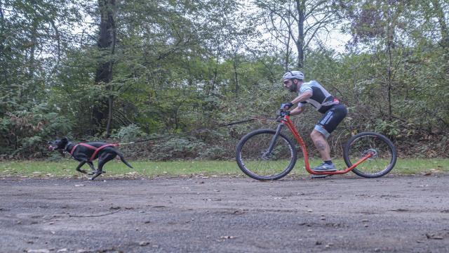 San Benedetto del Tronto, Luca Pilato e Pry partecipano ai Mondiali di Cani Cross