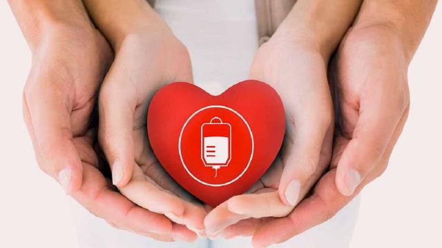 Marche regione di donatori di sangue: garantita non solo autosufficienza ma anche aiuto ad altre realtà territoriali