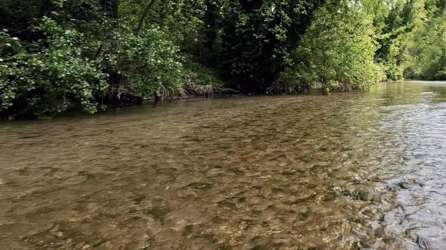 Regione Marche finanzia progetto Rete dei Centri Educazione Ambientali del Piceno. Attività dal Tronto alla costa