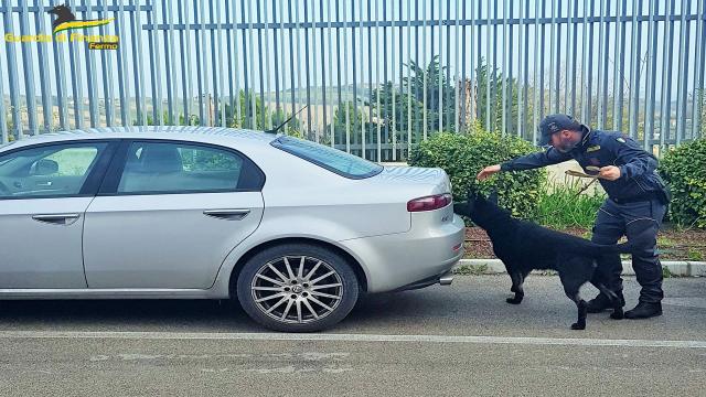 Guardia di Finanza, controlli a tappeto nel Fermano per contrastare traffici di stupefacenti