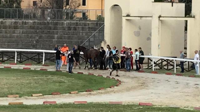 Quintana Ascoli Piceno, serata da dimenticare al Campo dei Giochi: prove ufficiali annullate. Cade Chicchini