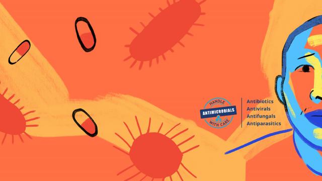 La Regione Marche in campo contro l'antimicrobico-resistenza nella World Amr Awareness Week 