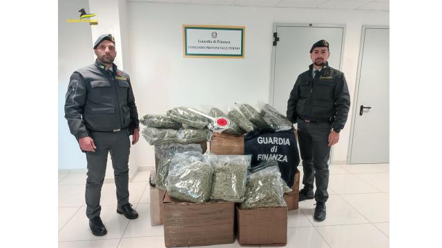 Guardia di Finanza Fermo, intercettati 83 kg di marijuana per un valore di un milione di euro