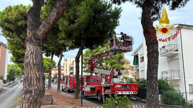 San Benedetto del Tronto, Vigili del Fuoco al lavoro per scoppio batteria e rimozione di ramo pericolante