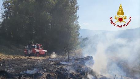 Monsampolo del Tronto, Vigili del Fuoco all’opera per incendio in località Monte Carello  