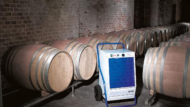 Miglior deumidificatore per cantina