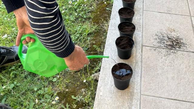 San Benedetto, l'Infanzia ''Marchegiani'' celebra la Giornata della Terra con un laboratorio sulla semina