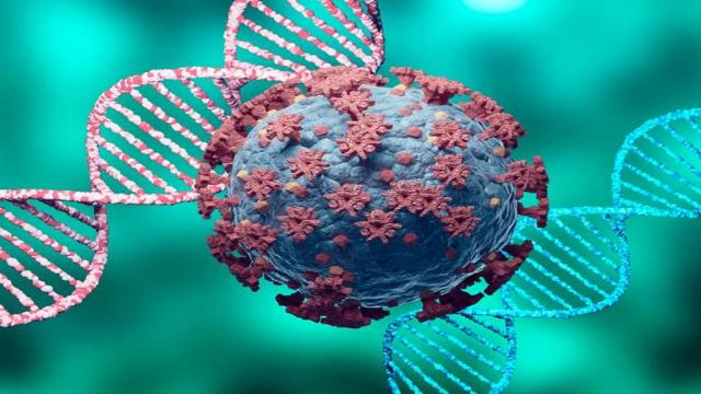 Covid: XJ nuova sottovariante ricombinata di Omicron isolata in Italia. E' analoga ad XE