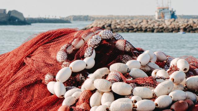 Intervento Regione Marche per imprese pesca e acquacoltura a compensazione costi sostenuti causa crisi Russa-Ucraina