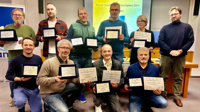 Proclamati i migliori mieli della regione. I risultati del concorso a cura dei quattro Consorzi apistici delle Marche