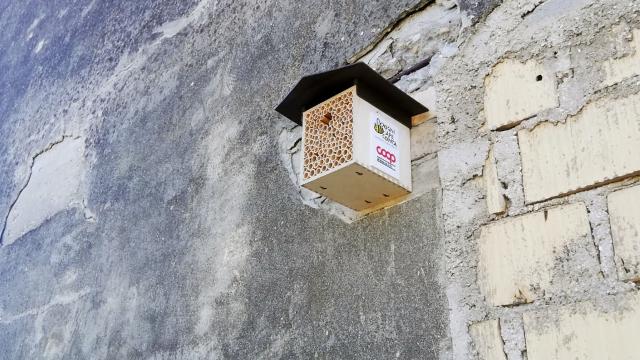 San Benedetto del Tronto, accolta iniziativa di Coop Alleanza 3.0 per installazione di casette per api