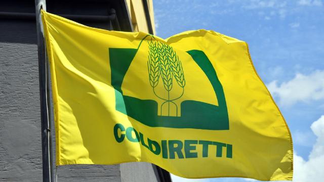 Allarme caldo, Coldiretti: ''E' il terzo anno più bollente dal 1800 in Italia''