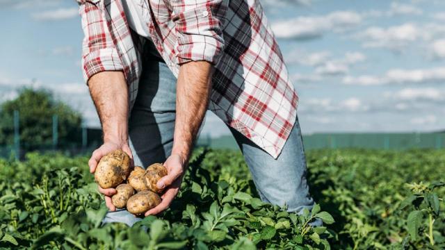 'Prezzi alle stelle, agricoltori più poveri', anche la Cia Ascoli-Fermo scende in piazza a Roma