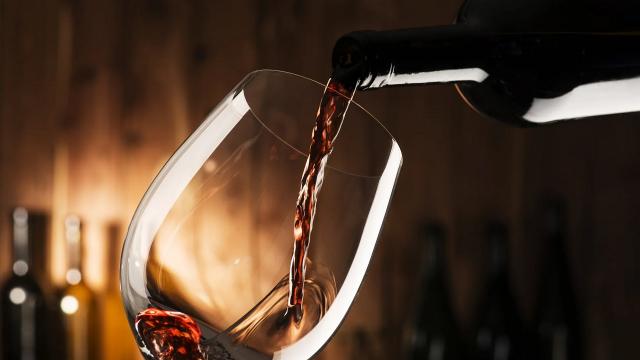 Verona: Vinitaly, le Marche presenti all'appuntamento con 111 cantine