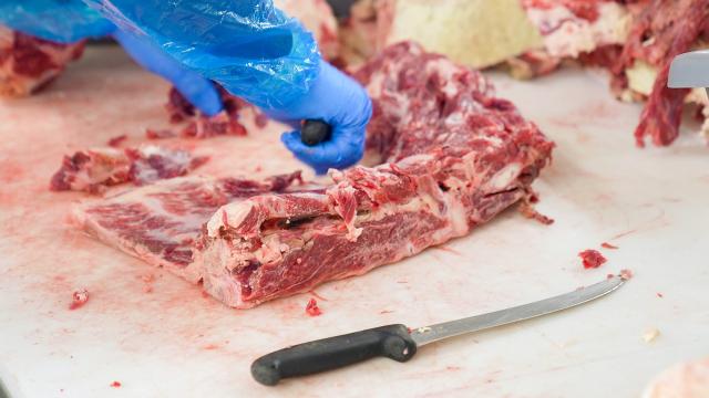 Ascoli Piceno: pubblicato avviso a cittadinanza per macellazione e consumo domestico privato di suini, ovini e caprini