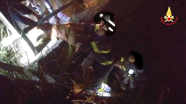 Monteprandone, Vigili del Fuoco recuperano cane finito in un fossato in contrada Collenavicchio 