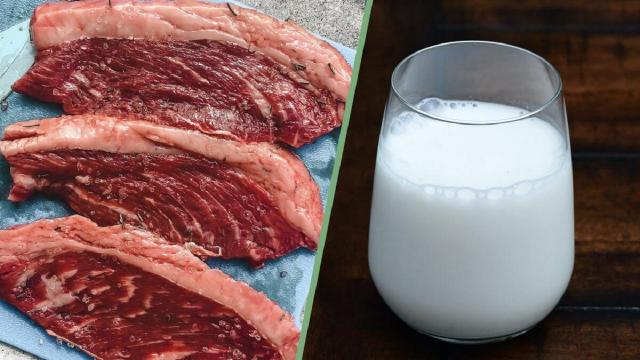 Coldiretti Marche, latte e carne alle corde: “Settore in crisi da anni, ora mazzata con i rincari di cereali ed energia“