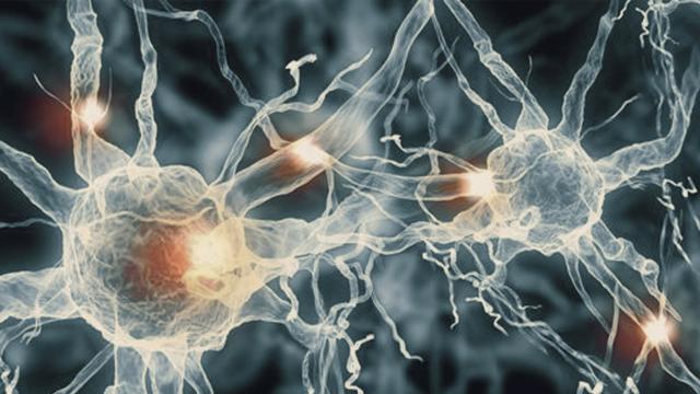 Diagnosi e interventi precoci nelle demenze. Webinar di aggiornamento con la dott.ssa Paci