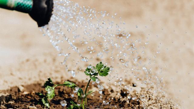 Regione Marche, tavolo operativo su situazione grave crisi idrica con assessori Antonini e Aguzzi