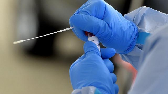 Coronavirus Marche: aggiornamento settimana 28 Aprile - 4 Maggio. Sale il numero di ricoveri nei reparti ordinari 