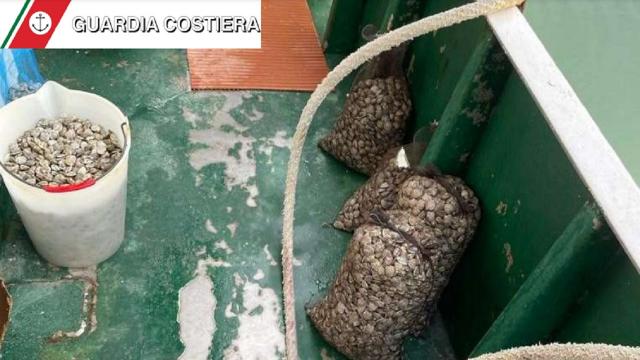 Prelievo di vongole durante il periodo di fermo, sanzionato pescatore professionale a San Benedetto