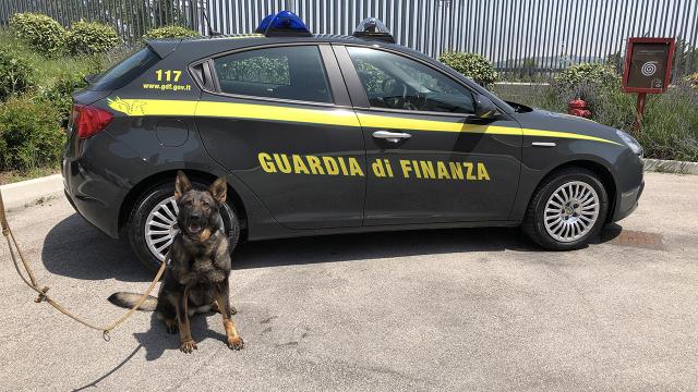 Guardia di Finanza Fermo, continua l'attività di prevenzione e repressione traffico stupefacenti