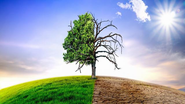 Cambiamenti climatici, Regione Marche aderisce al documento che sarà portato alla COP 28 