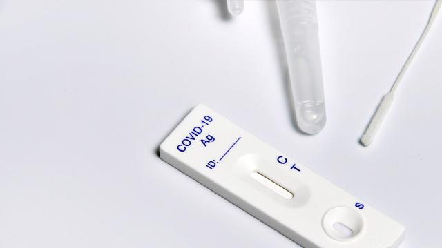 Covid Marche: aggiornamento settimana 23-29 Dicembre. Scende tasso incidenza, in aumento ricoveri nei reparti intensivi