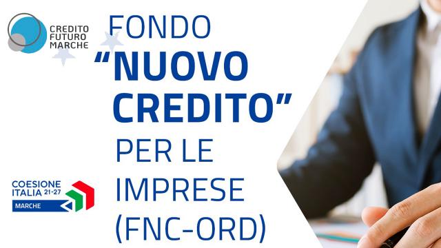 Bando per favorire investimenti e liquidità, la Regione Marche stanzia i primi 20 milioni 