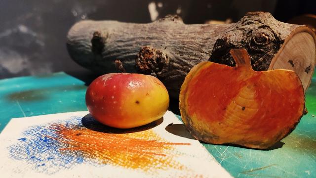 Natale nei Sibillini Romantici, i bambini di Montedinove creano i souvenir natalizi in legno di mela rosa 