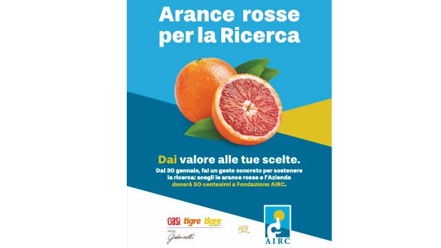 Ascoli, ''Arance rosse per la Ricerca'' parte la campagna con Magazzini Gabrielli