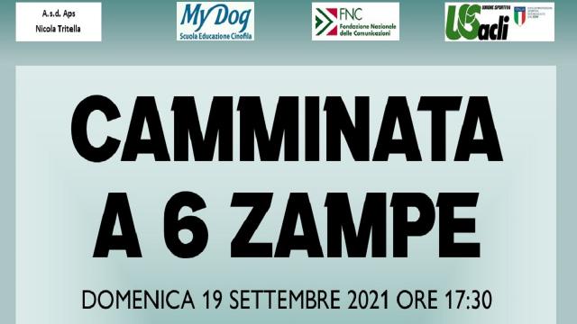 Unione Sportiva Acli Marche, ad Ascoli Piceno la camminata a 6 zampe