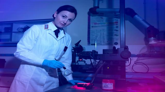 Arma dei Carabinieri, iniziate procedure di selezione per il concorso di Ufficiali del Ruolo Tecnico 