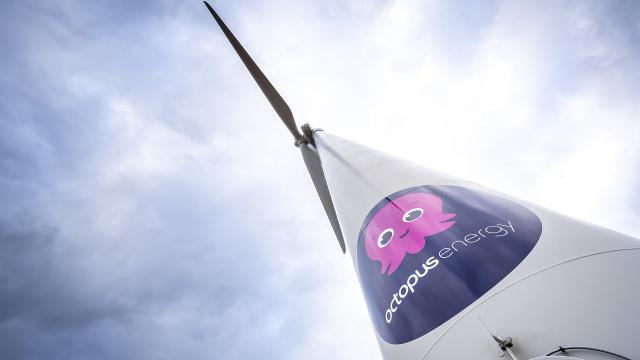 La valutazione di Octopus Energy arriva a 9 miliardi di dollari