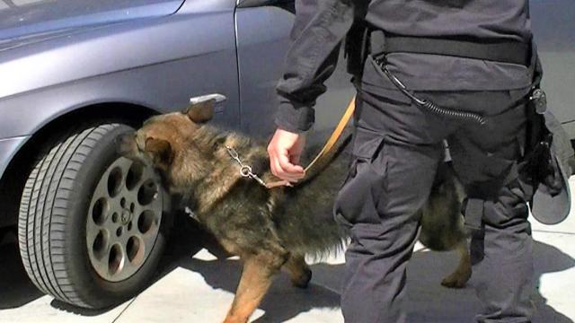 Guardia Finanza Teramo, arrestato corriere della droga e sequestrati oltre 300 grammi di eroina