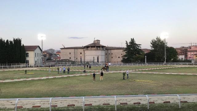 Quintana di Ascoli 2023, i cavalieri tornano in pista per saggiare il terreno del Campo dei Giochi