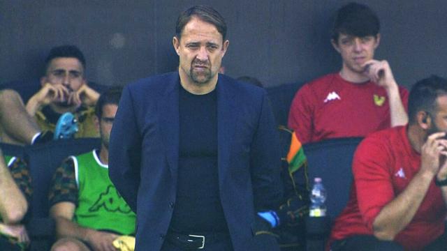 Venezia, esonerato Javorcic dopo il ko interno con l'Ascoli. Niederauer: “Nei prossimi giorni il nuovo allenatore”
