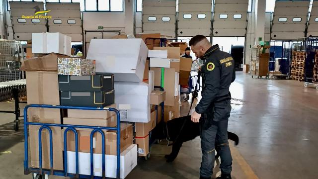 Guardia di Finanza Macerata, sequestrati 41 kg di marijuana. Denunciato a piede libero il destinatario