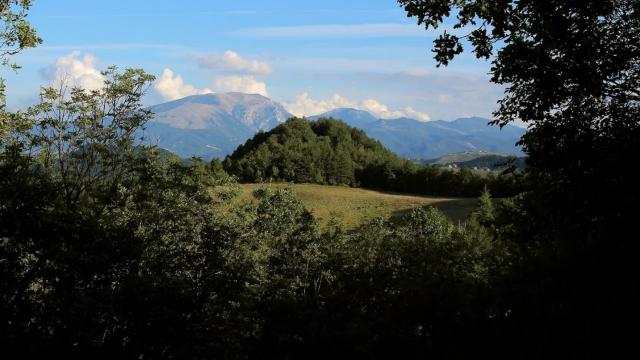 Festival dell'Appennino, a Pedara di Pizzorullo di Roccafluvione: appuntamento 'alla ricerca del castello scomparso'