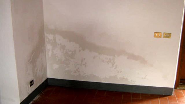 Umidità in casa: come eliminare definitivamente la muffa dai muri