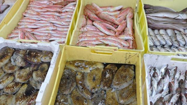 Ast Ascoli, operazione di contrasto al commercio illecito a San Benedetto: trovato pesce non idoneo al consumo umano