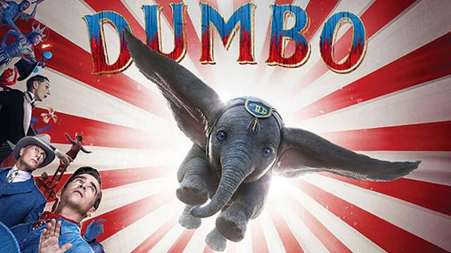 Cinfeorum a Castorano: terzo appuntamento per progetto 'Benessere in Comune' con 'Dumbo'