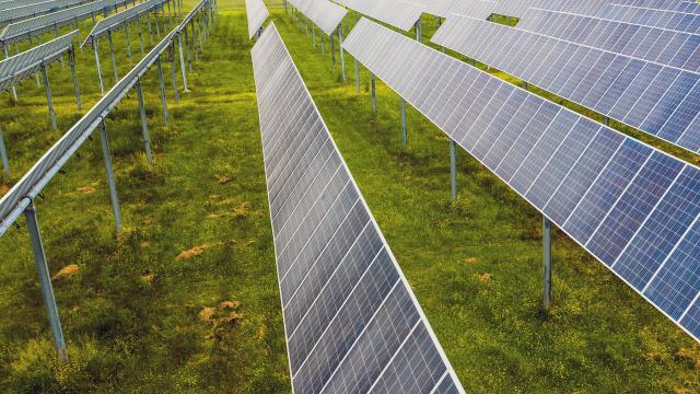 Fotovoltaico a terra in Valdaso, Coldiretti: “No a consumo di 75mila metri quadri di terreno coltivabile, prima i tetti”