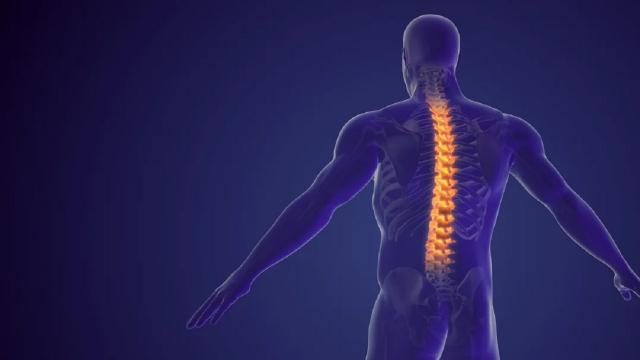 Ars Marche: atrofia muscolare spinale, al via lo screening