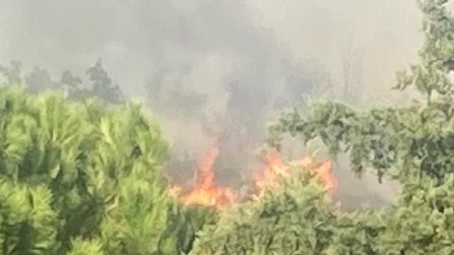 Ascoli Piceno, Vigili del Fuoco in azione per vasto incendio in zona Porta Cappuccina