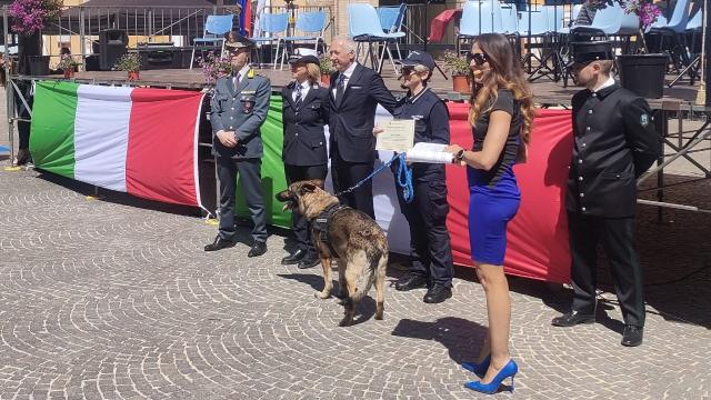 Ascoli Piceno, festa regionale della Polizia Locale: encomio all'unità cinofila ascolana. Premiati agente Teodori e Ila