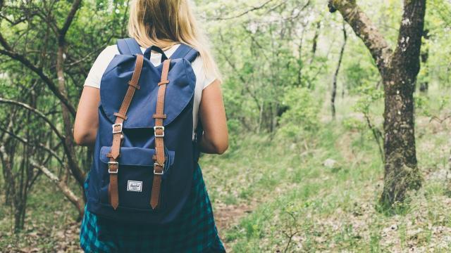 Unione Sportiva Acli Marche, passeggiata ecologica tra natura e cultura tra Maltignano e Folignano