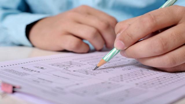 Grottammare, concorso pubblico per l'assunzione di due operatori esperti amministrativi