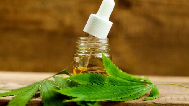 Cos'è l'olio di CBD? Benefici per la salute ed effetti